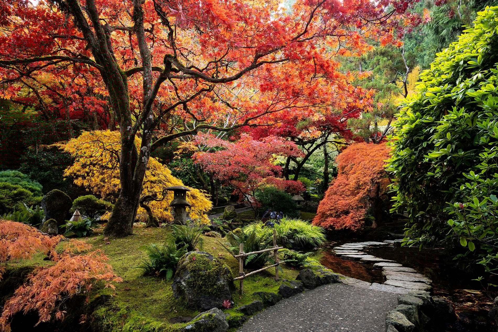 Jardin japonais